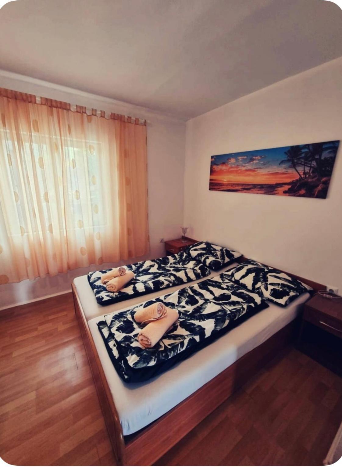 Apartment Viki *